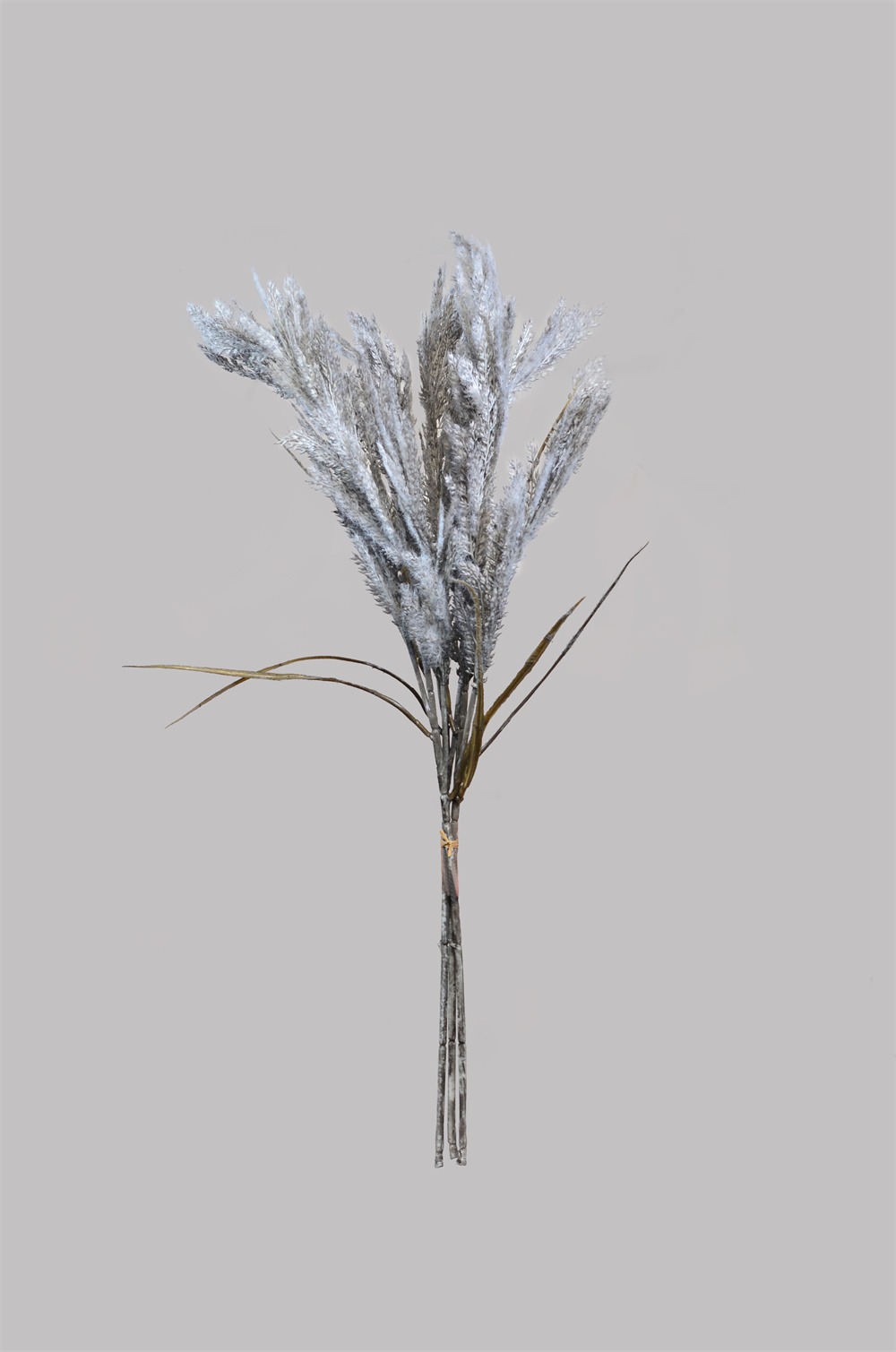 NOREEN N35722-Y018